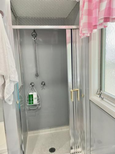 a shower with a glass door in a bathroom at The Nifty Fifties in a Quiet Location in Cedar Rapids