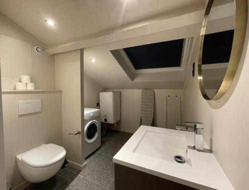 une salle de bain avec un lavabo et une machine à laver dans l'établissement Cocon sous le toit, 6 personnes, Villeurbanne, à Villeurbanne