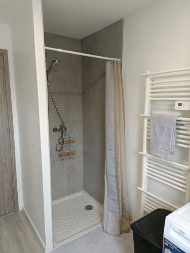 une douche avec un rideau de douche dans une salle de bain dans l'établissement Appartement entier F3 rénové - Petite pause à Sélestat, à Sélestat