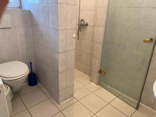 a bathroom with a shower and a toilet at Ferienwohnungen Waldsicht und Dorfsicht in Winkel