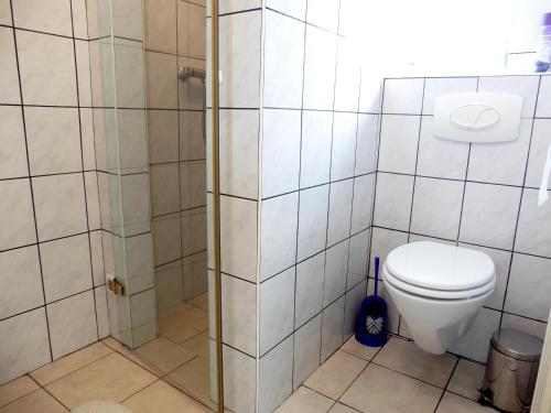 a bathroom with a toilet and a shower at Ferienwohnungen Waldsicht und Dorfsicht in Winkel