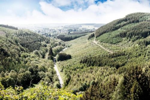 a view of a mountain valley with a dirt road at L'Orée du bois in Tenneville