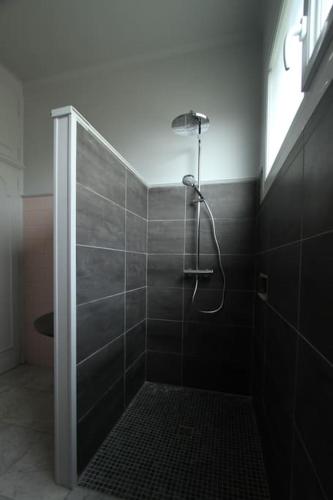 une salle de bain avec une douche avec pommeau de douche dans l'établissement 