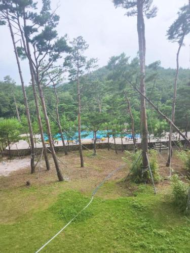 a kite is tied to trees in a field at Sokcho Daemyung Heidi Pension in Sokcho
