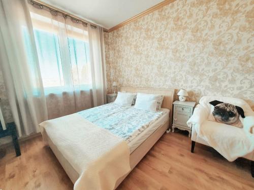 a bedroom with a bed and a dog sitting on a chair at Family Hotel in Daugavpils