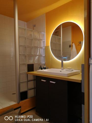 a bathroom with a sink and a mirror at La Chambre de PAT in Toulouse