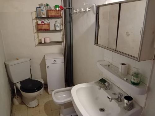 a bathroom with a sink and a toilet and a mirror at Relai de randonnées pédestres, cévenoles, bassin en eau de source, randonnées d'ânes abreuvoir et enclos in Monoblet
