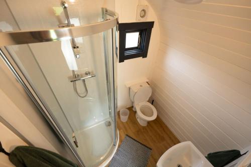 a small bathroom with a shower and a toilet at Carn Mor Dearg Pod in Fort William