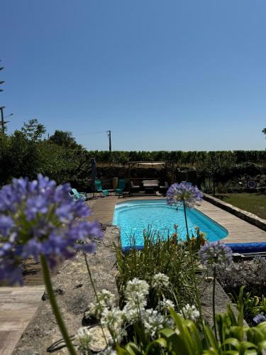 Les Agapanthes - Adult only