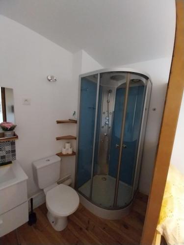 un bagno con wc e doccia in vetro di La Treille a Saint-Thibéry