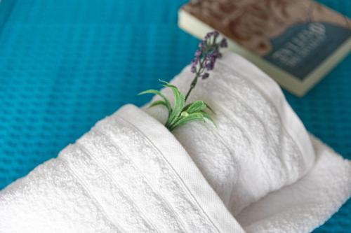 a hand holding a book with a plant in it at Pappous Adreas in Skiathos Town