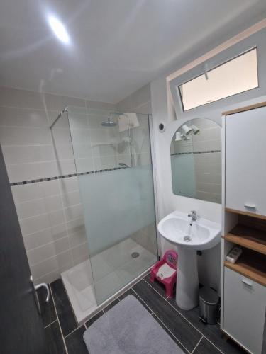 une salle de bain avec douche et lavabo dans l'établissement La désirée, à Blangy-sur-Bresle