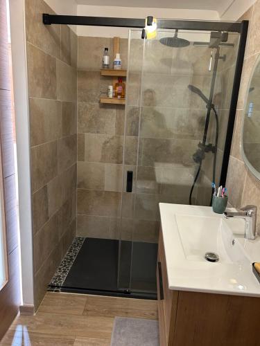 une douche avec une porte vitrée à côté d'un lavabo dans l'établissement A casa di u Sciroccu, à Monacia-dʼAullène