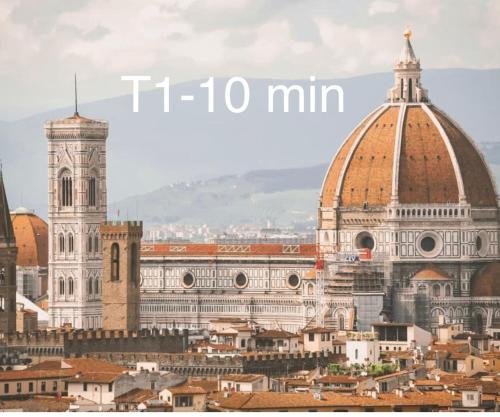 Dalmatus Lorena a 10 minuti dal centro storico