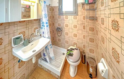 a bathroom with a sink and a toilet at Stunning Apartment In Astros Kynourias in Áyios Andréas Arkadias