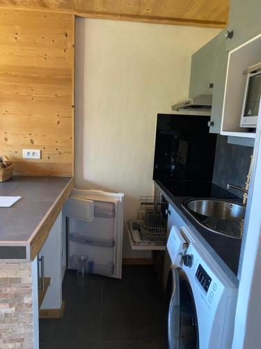 une cuisine avec un évier et une machine à laver dans l'établissement Scoot 4 étoiles, à Demi-Quartier