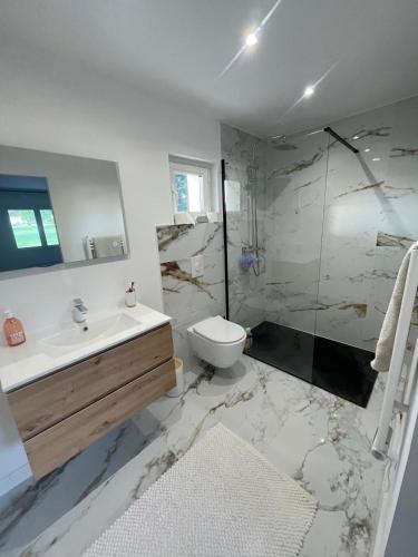une salle de bain avec un lavabo, des toilettes et une douche dans l'établissement VILLA MAGESTIC Piscine, à Aix-en-Provence