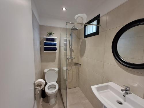 un bagno con un water, un lavandino e uno specchio di Classic Car House a Santa Cruz