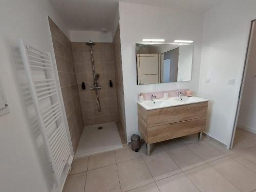 une salle de bain avec un lavabo, une douche et un miroir dans l'établissement Maison neuve à Bessens, à Bessens