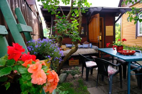 Sodas prie apgyvendinimo įstaigos Chill house