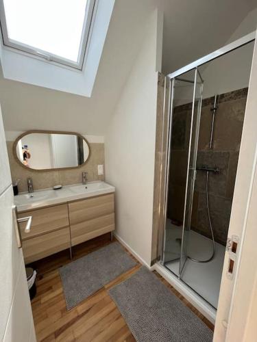 une salle de bain avec une douche, un lavabo et un miroir dans l'établissement Ty Sunset Portsall, à Ploudalmézeau