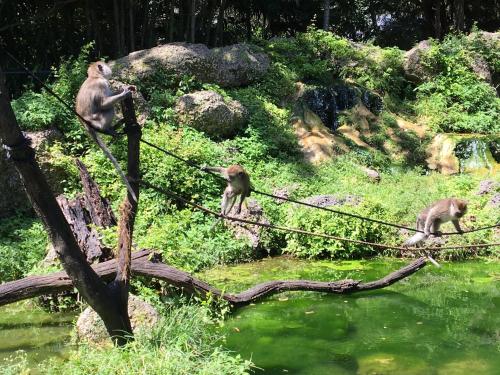 Landskap semula jadi dekat dengan rumah percutian