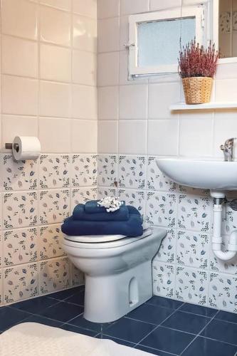 a bathroom with a toilet and a sink at Luna - Villa Cenami - big POOL with view in Corsanico-Bargecchia