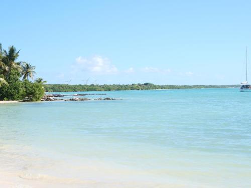 a view of a beach with a boat in the water at STUDIO FACE MARINA in Saint-François