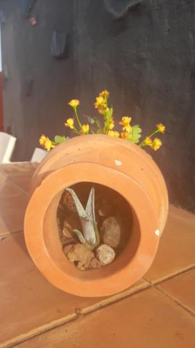 a plant in a toilet bowl with rocks and flowers at Casa La Gollada in Cazadores