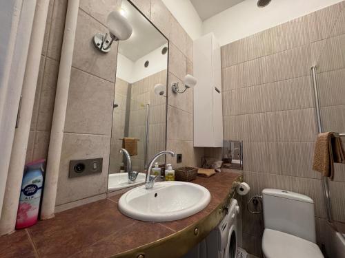 a bathroom with a sink and a toilet and a mirror at Old Town Residence, Historic Centre Castle Square in Warsaw