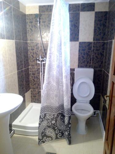 a bathroom with a toilet and a shower curtain at Cabana Claudia Briciu in Arieşeni