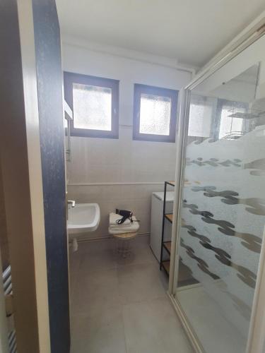 une salle de bain avec toilettes, lavabo et douche dans l'établissement Roseraie, à Moissac
