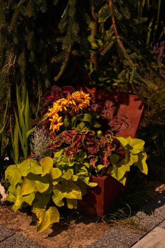 a bouquet of flowers sitting on the ground at Lawendowy Zakręt in Ustrzyki Dolne
