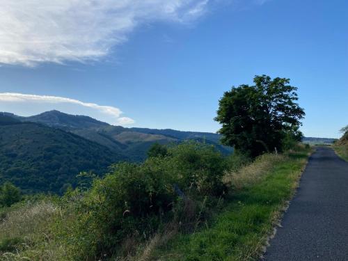 a road with a tree on the side of a mountain at Gîte de charme en plein cœur de l’Ardèche verte in La Rochette