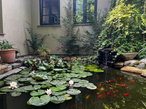 a pond with lilies and kites in a garden at Zöldkapu Vendégház in Balassagyarmat