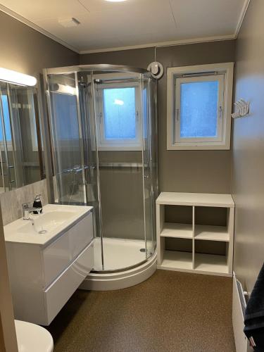 a bathroom with a shower and a sink at Kyrkjeneset in Bjerkreim