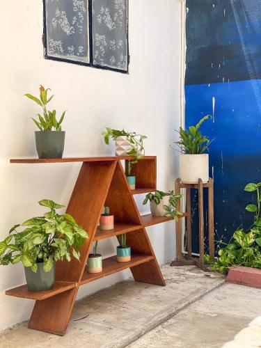 a wooden shelf with potted plants on it at The Boat House Cancun in Cancún