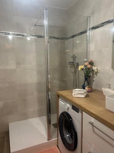 une machine à laver dans une salle de bain avec douche dans l'établissement Appartement a louer, au Havre