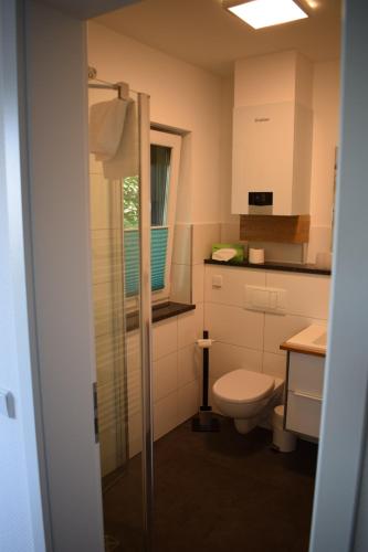 a bathroom with a toilet and a sink at Hotel Seeschlösschen in Groß Köris