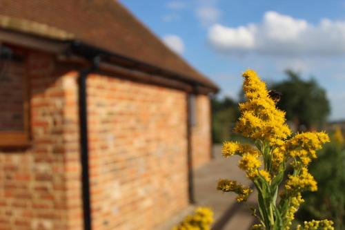 a yellow flower in front of a brick building at Parkfields Barns Self Catering Accommodation in Buckingham