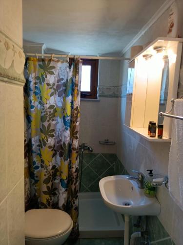 a bathroom with a shower curtain and a sink at VILLA APHRODITE SOUGIA apt1 in Kamária