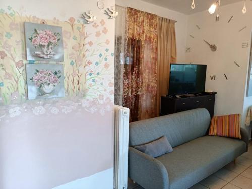 a living room with a couch and a tv at VILLA APHRODITE SOUGIA apt1 in Kamária