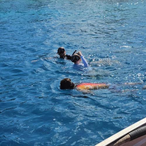 Επισκέπτες που μένουν στο Kinakamo Lodge et Activités Rangiroa