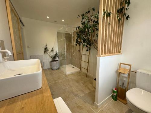 a bathroom with a sink and a shower with plants at Le Gite de l Ancre in Ville-sur-Ancre