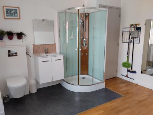Un baño con ducha de cristal y un inodoro. en Appartement Calme Et Lumineux, en Radinghem-en-Weppes