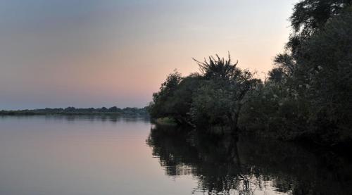 a river with trees in the middle of it at Cresta Mowana Safari Resort & Spa in Kasane