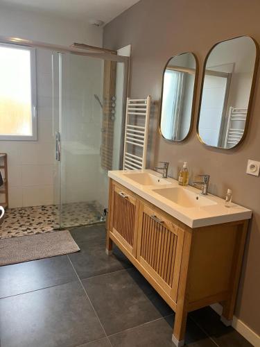 une salle de bain avec un lavabo et une douche dans l'établissement Cosy Villa Arcachon Bay, à Audenge