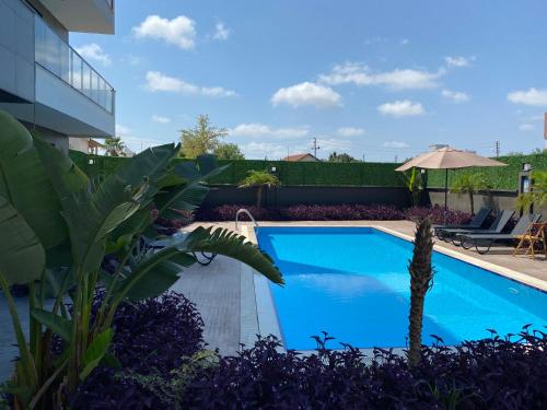 Πισίνα στο ή κοντά στο Lux 1+1 Apartment Airport View