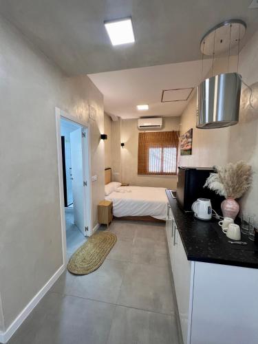 a kitchen and a bedroom with a bed in a room at Suite N25 in Madrid