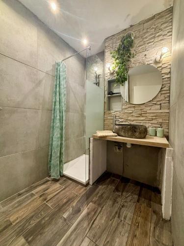 une salle de bain avec un lavabo et une douche dans l'établissement LE PETIT THAI Appart 2 PIECES ZEN CENTRE VILLE, à Montpellier